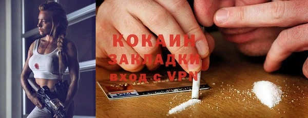 шишки Дмитриев
