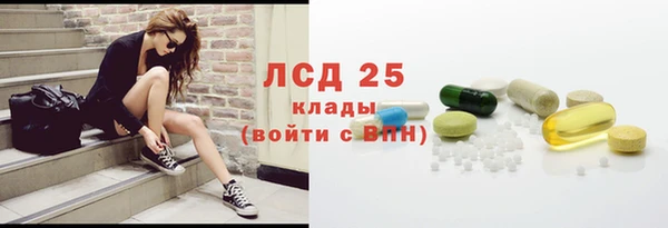 таблы Гусев