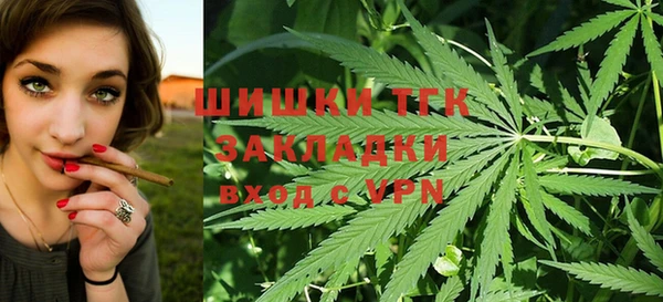 шишки Дмитриев
