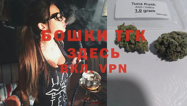 таблы Гусев