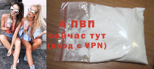 таблы Гусев