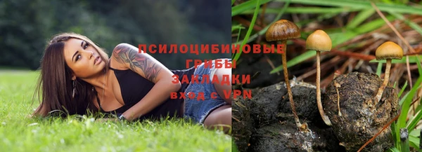 герыч Гусь-Хрустальный
